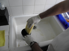 Καθαρισμός παγίδας ωοθεσίας με σφουγγάρι και σαπούνι με νερό