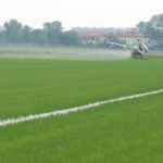 helicopter rice fields