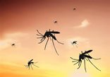 Το ΒΗΜΑ (science): Δελτίο καιρού για… κουνούπια!
